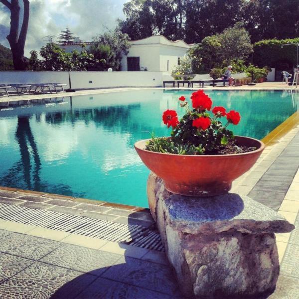 Hotel Al Bosco Forio di Ischia Exterior foto